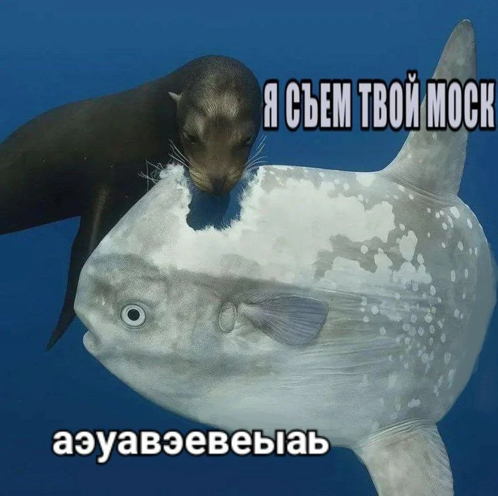 Фото покупателя