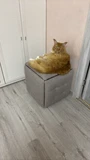 Фото из отзыва покупателя