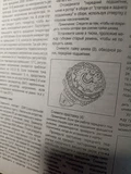 Фото покупателя 2