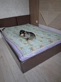 Фото из отзыва покупателя