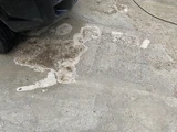 Фото к отзыву