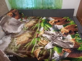 Фото из отзыва покупателя