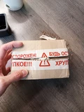 Фото покупателя к отзыву о Суккулент Эхевери Фрости кристата