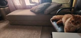 Фото из отзыва покупателя
