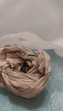 Фото покупателя к отзыву о Кактус Эхинофоссулокактус Виппермании