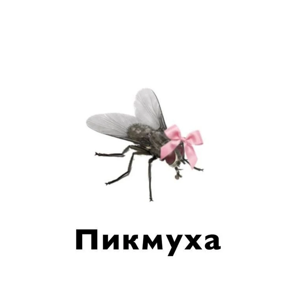 Фото покупателя