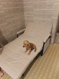 Фото из отзыва покупателя